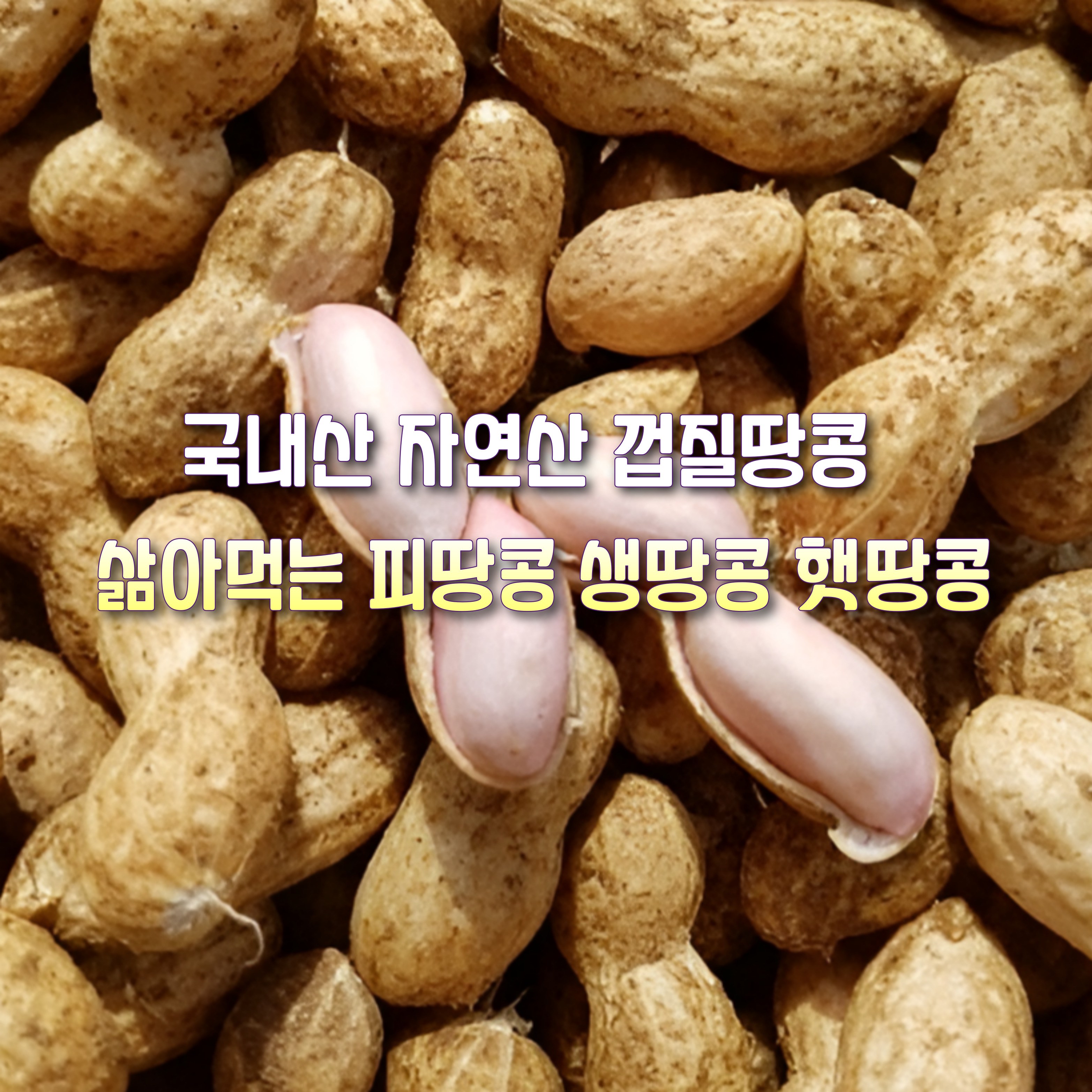 [산지직송] 국내산 자연산 햇 삶아먹는 건조 껍질땅콩 생땅콩 피땅콩 흙땅콩 선물용 가정용 건과류 28,100원