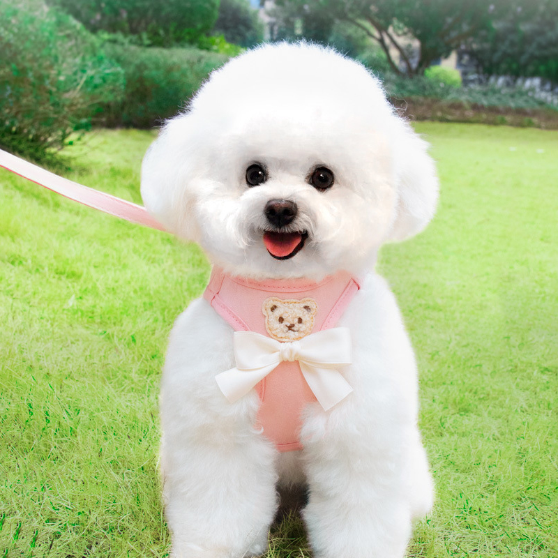 파스텔펫 반려동물 리본 곰돌이 하네스 리드줄 세트 10,800원