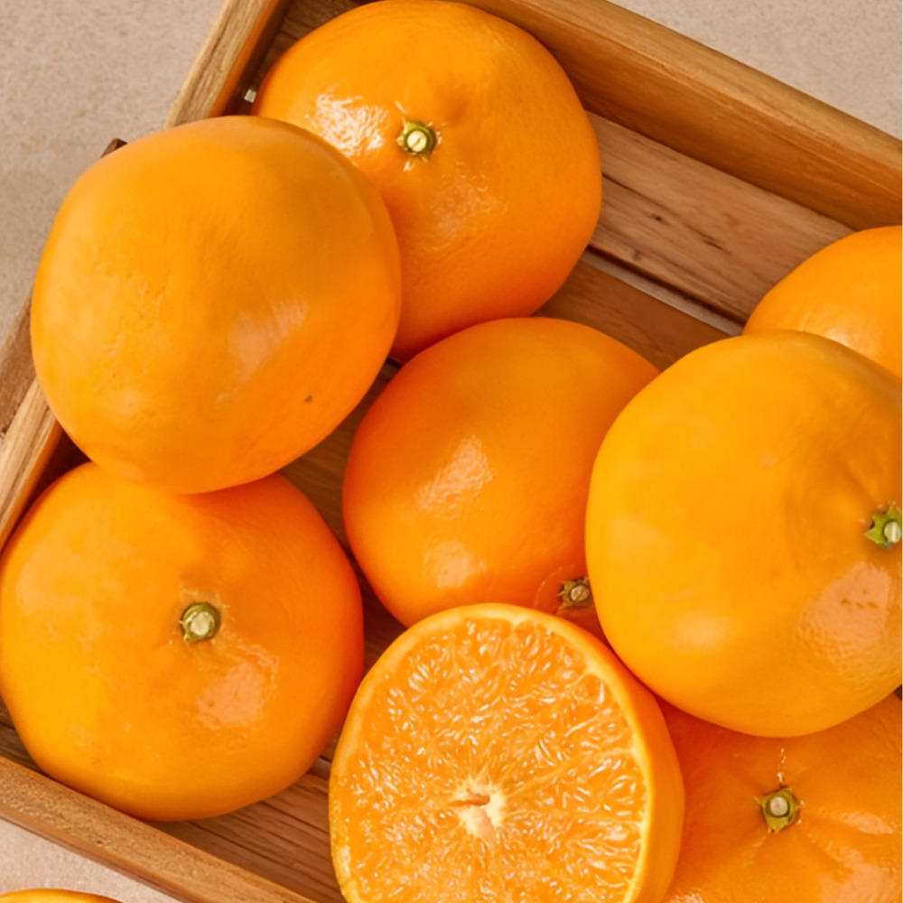 [초특가] 제주 고당도 가정용 천혜향, 1박스, 5kg(실속혼합과), 현재가 27,950원