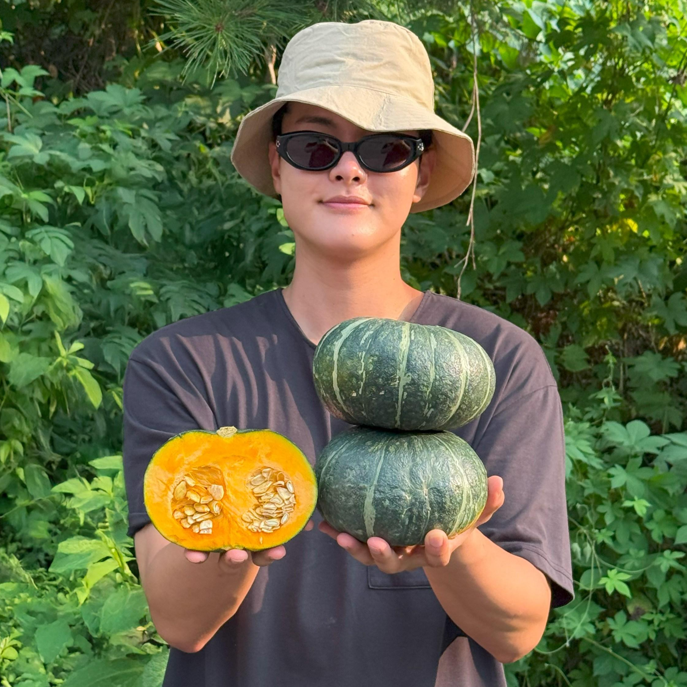 [꿀맛보장] 농진사 단호박 특품 14,500원