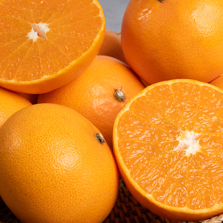 [오늘특가] 당도선별 고당도 제주도 천혜향, 1박스, 10kg 39,900원