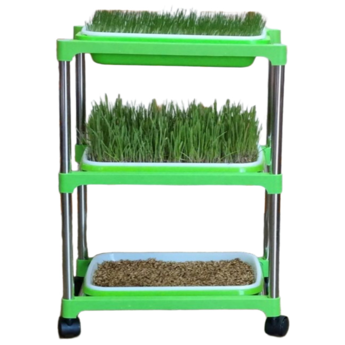 새싹 보리 재배기 고급형 3세트 장식 장 보리 씨앗 300g 베란다 텃밭 수경 재배 도시 농업 34500원, 1개 34,500원