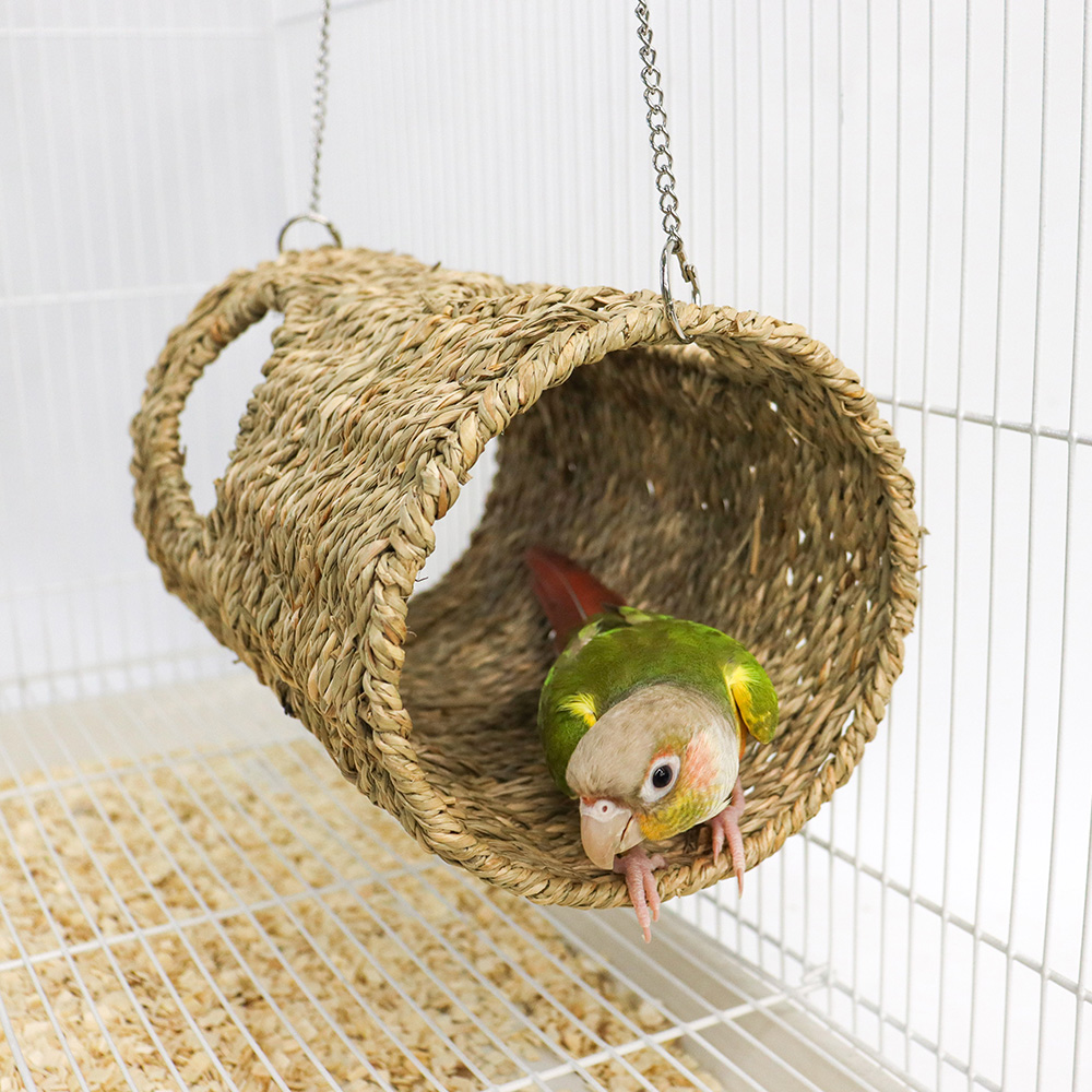 리프패럿 해초동굴 은신처 M 12,900원