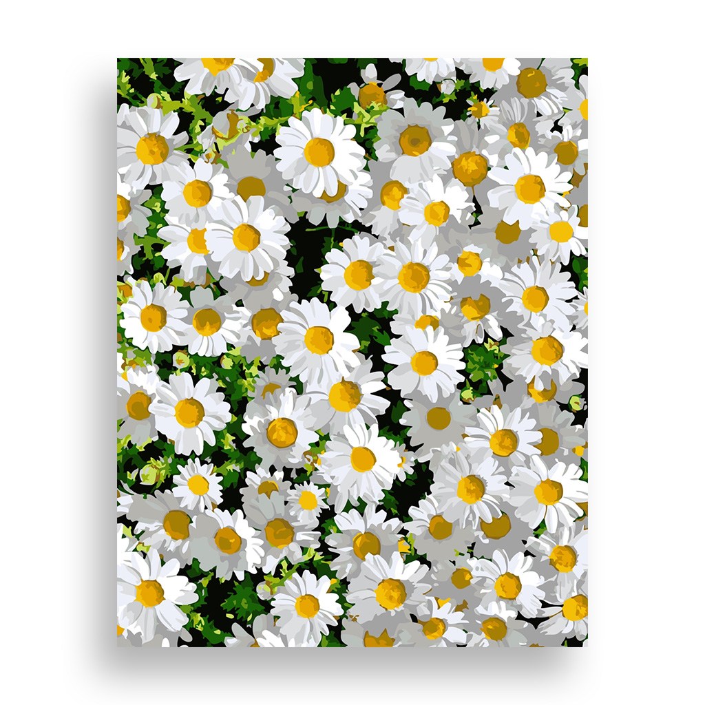 위메이크 페인팅 DIY 명화그리기 세트 데이지 40x50 34,400원