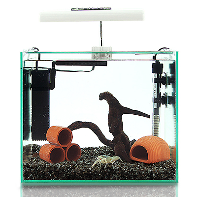 피알피쉬 [네이쳐아트] 가재 LED 어항 풀세트 95,000원