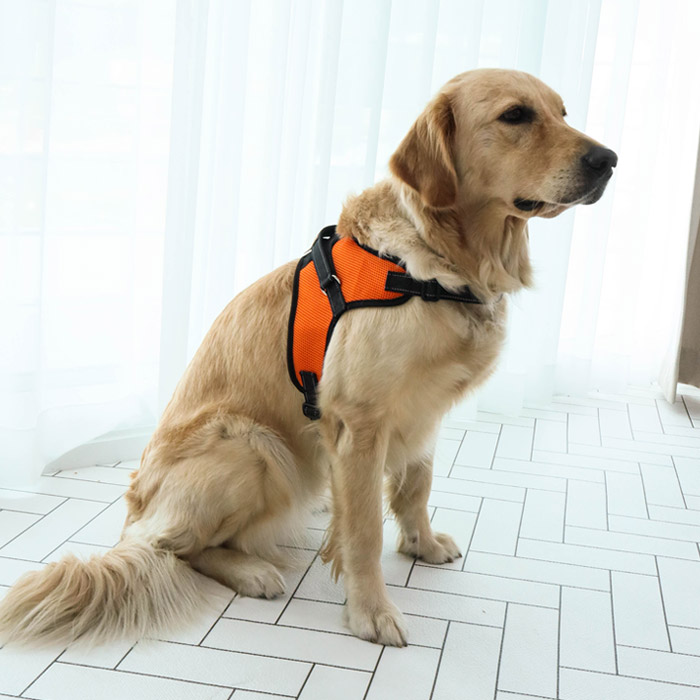 딩동펫 강아지 메쉬 기본형 하네스 11,400원