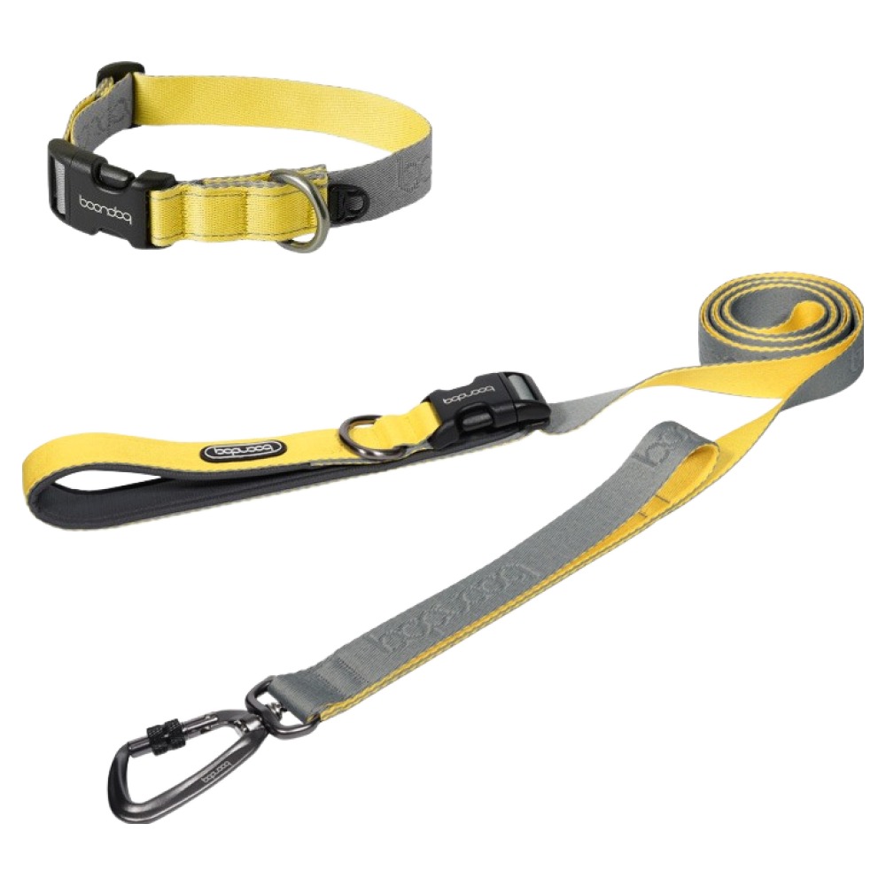 분독 강아지 플레이리쉬 + 카라비너 목줄 세트 87,400원