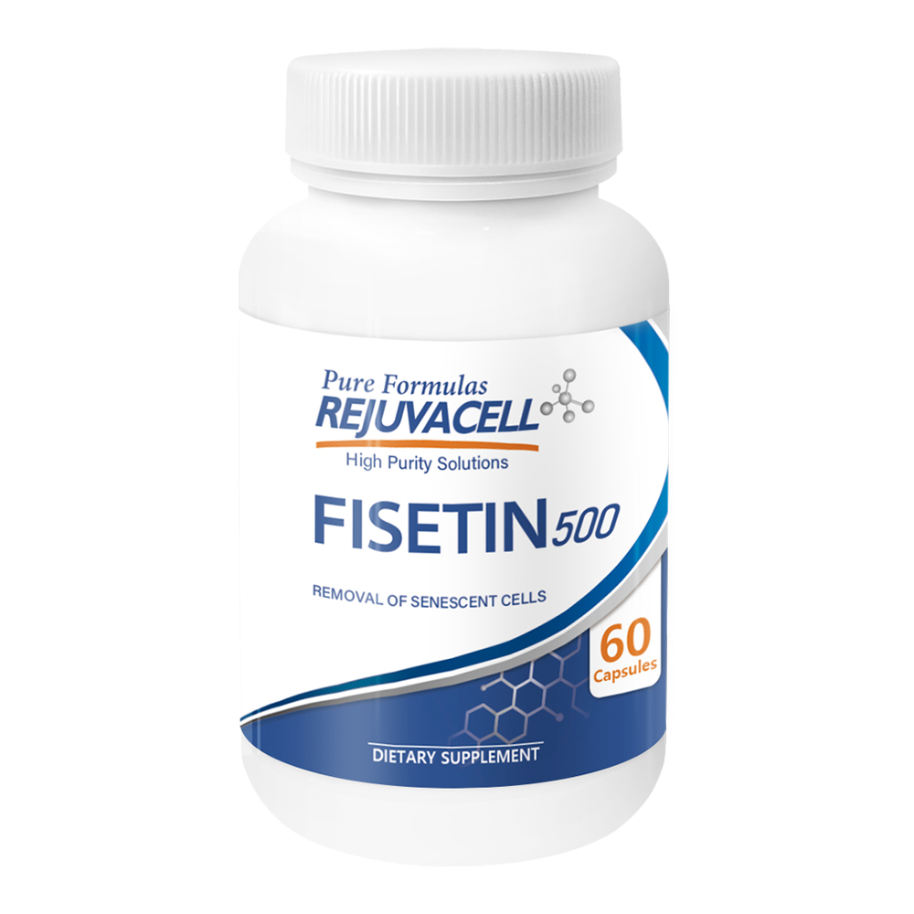 리쥬바셀 피세틴 500mg 99% 순도 60캡슐, 1개, 60정 57,800원