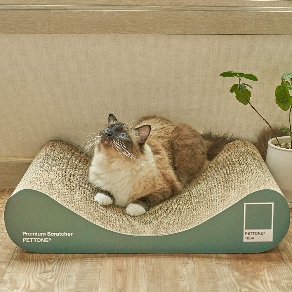 펫톤 고양이 소파형 스크래쳐, 딥그린, 1개 27,900원