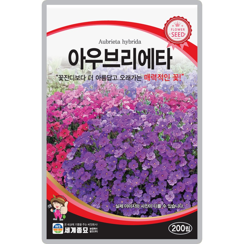 아우브리에타 꽃잔디 씨앗 200립 일년생 혼합종 종자 화단 조경용 13,470원