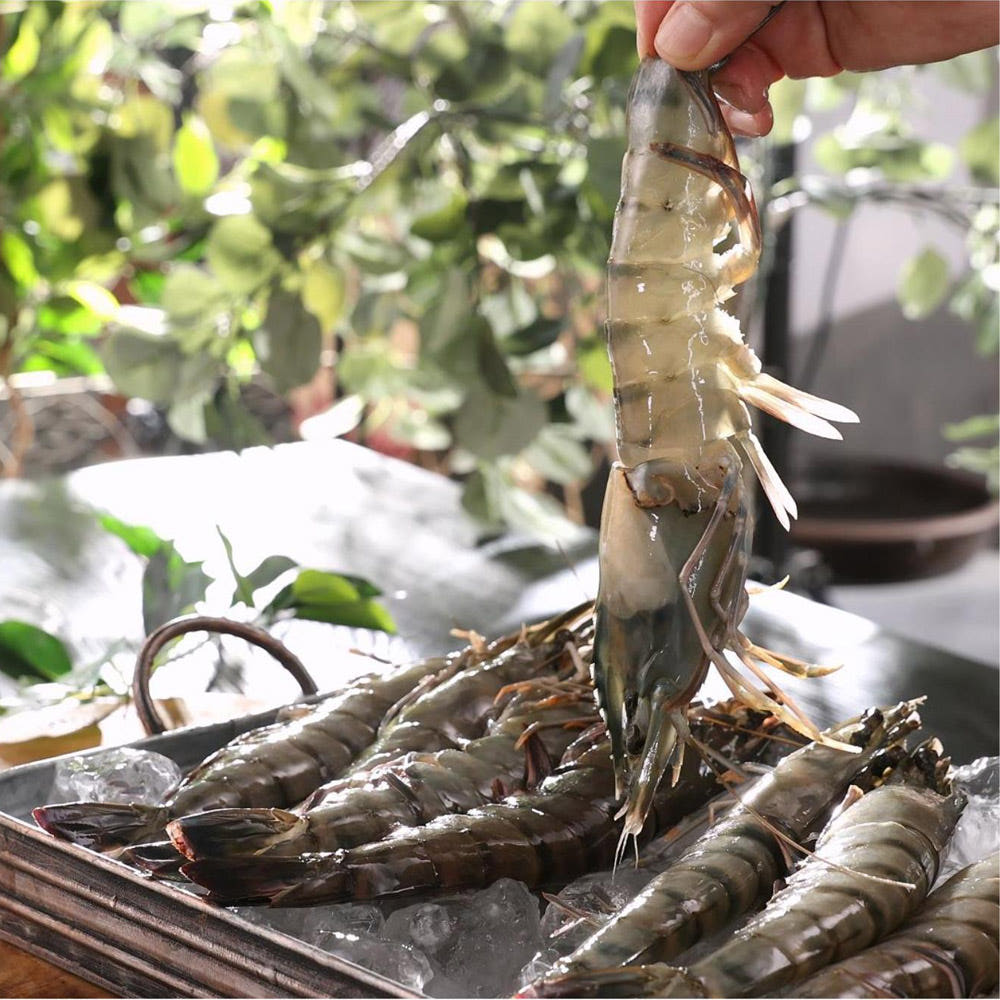 캠핑용 선물용 -45도 급속냉동 킹 블랙타이거 새우 캠핑 새우선물 왕새우 새우소금구이 새우버터구이 간장새우 55,000원