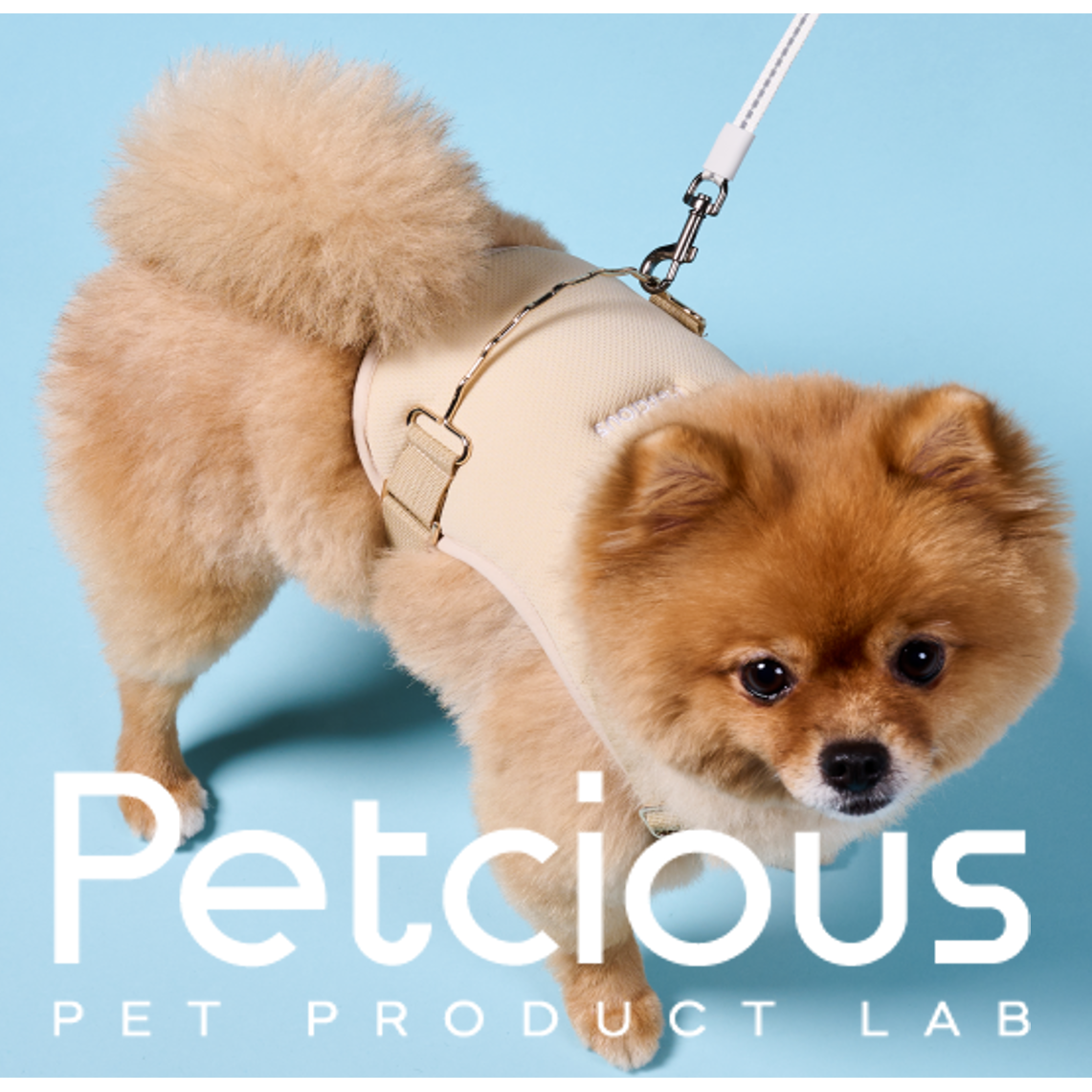 펫셔스 강아지 슬개구 슬개골 탈구 관절보호 소형견 하네스 관절건강  x자 x형 39,990원