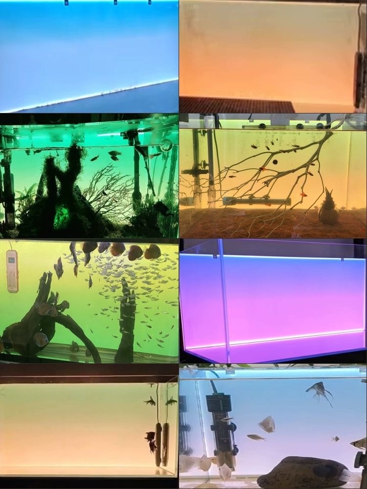 어항 백스크린 장식 고화질 라이트 인테리어 해수어 수조 102,400원