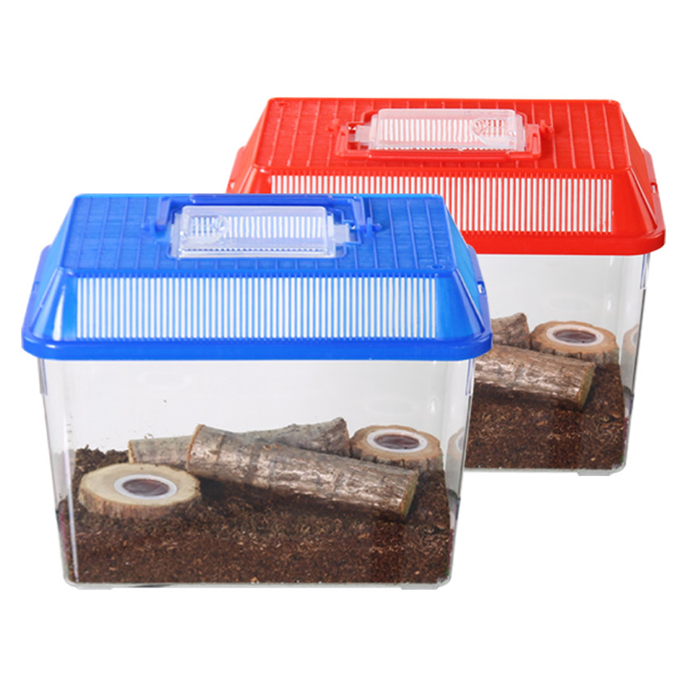 사필풍 장수풍뎅이 사각 대형 실속 세트 17,500원