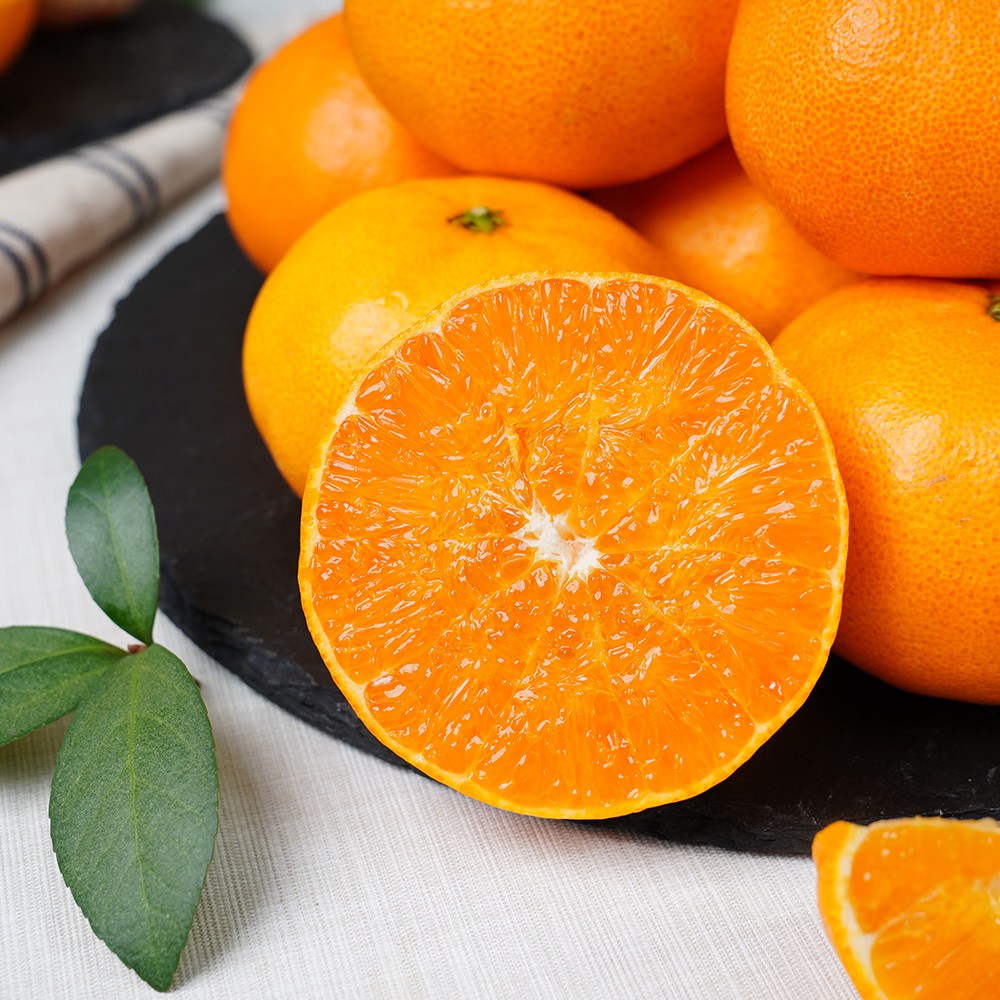 금메달농수산 제주 정품 당도보장 레드향 실중량, 1개, 1.5kg 중과 19,500원