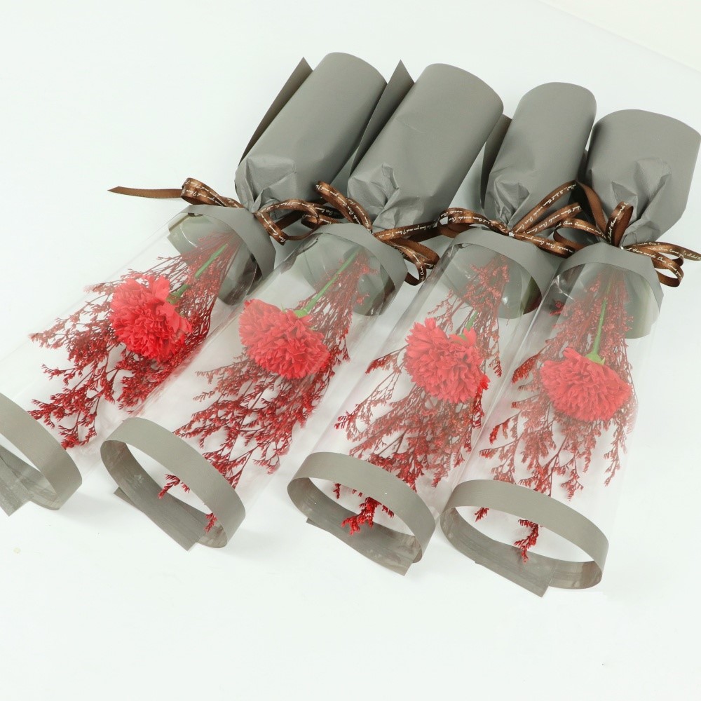 블뤼엔 비누꽃 감사n 카네이션 한송이 16,400원