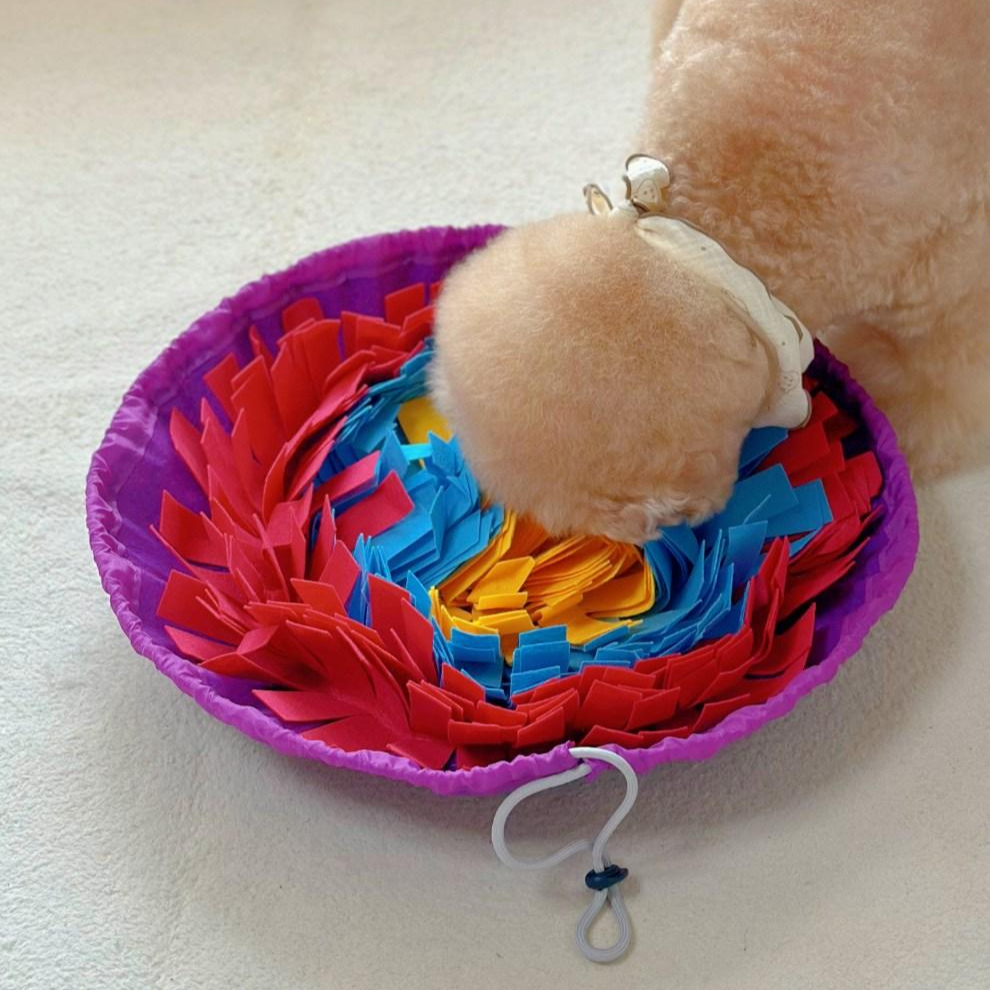 MAAH 강아지 파우치형 노즈워크 IQ 장난감, 퍼플레드, 1개 10,500원