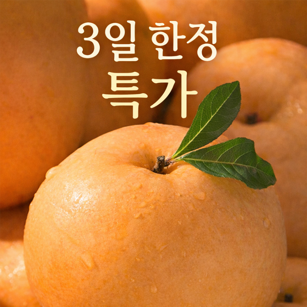 [파격할인] 산지직송 당도선별 나주 신고배 특상 13,400원