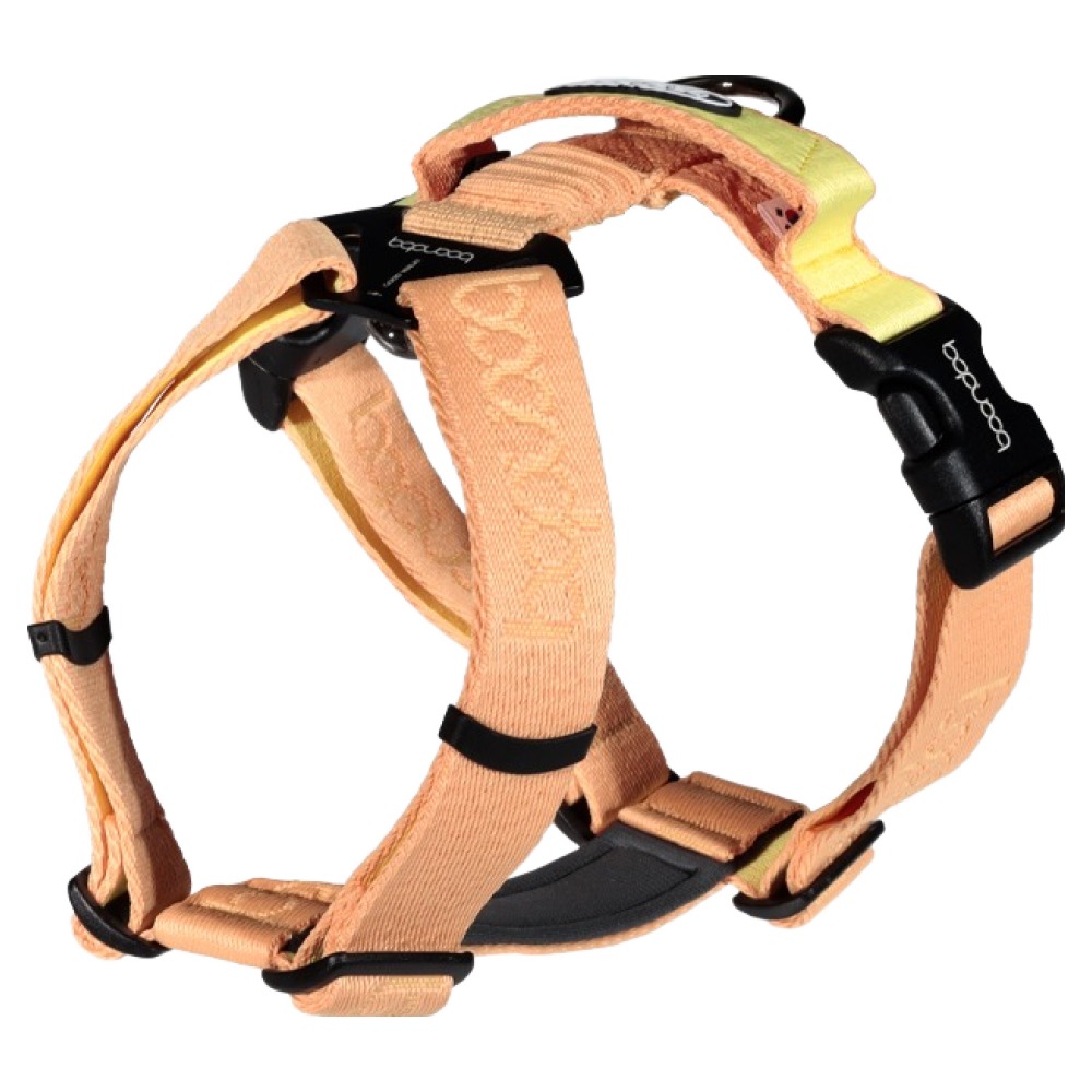 분독 강아지 플레이 하네스, 피치, 1개 54,000원