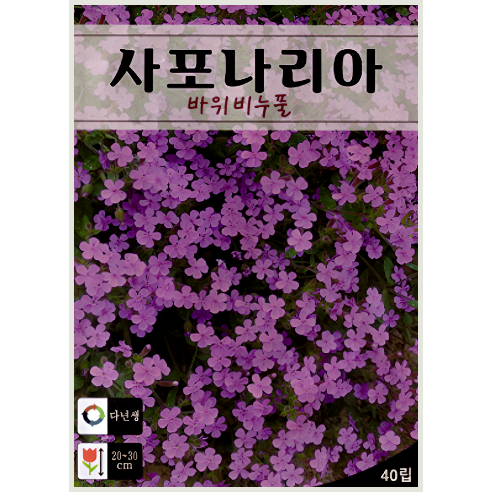 KS종묘 사포나리아 바위비누풀 씨앗 40립 다년생 초화류 ks 3,000원