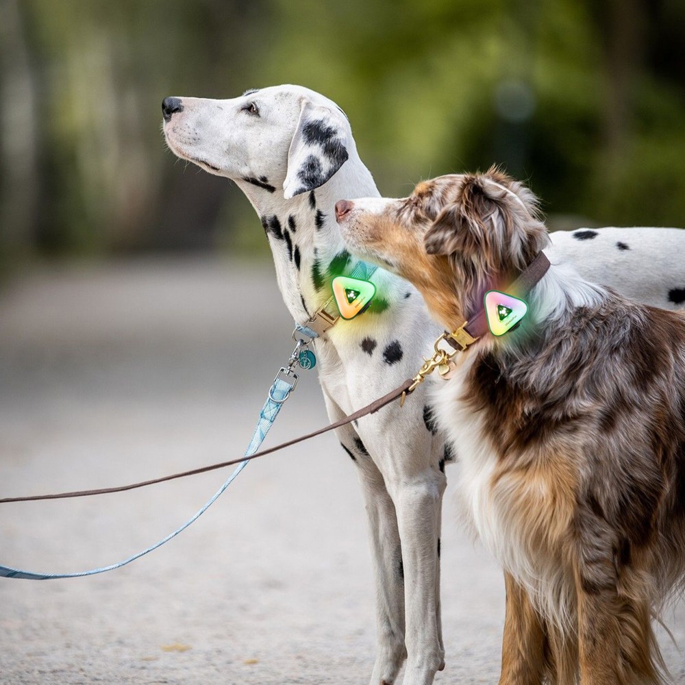 모츄츄 펫 안전등 야간 발광 조명 강아지 목걸이 LED 라이트 6가지 모드 스마트 센서 방수 산책등 선물 추천, 1개, 삼각 33,890원