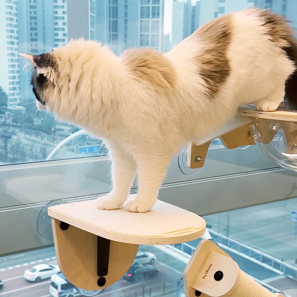 펫로지 고양이 창문해먹 원목 캣타워 19,280원