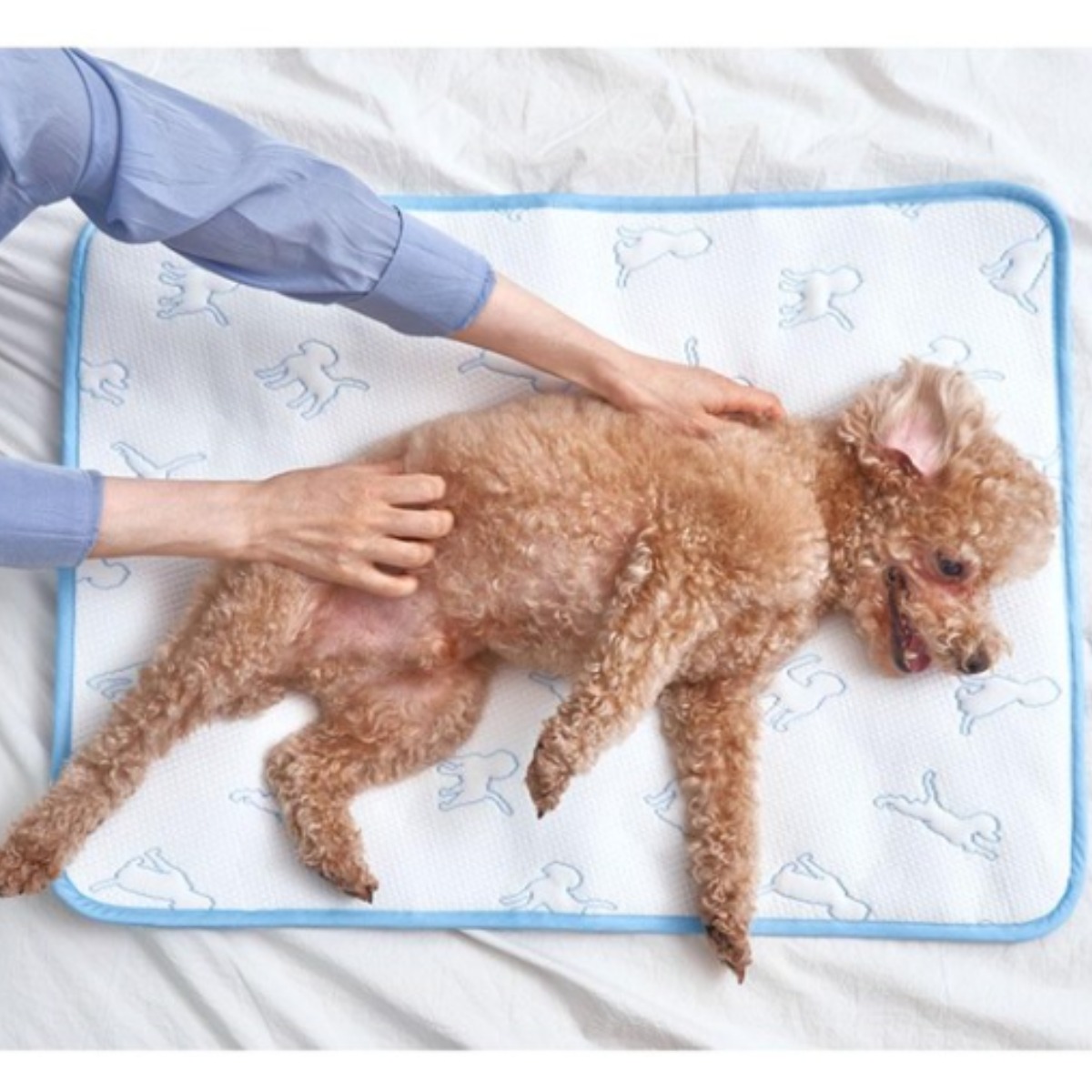 강아지 듀라론 냉감 쿨매트 애견 애묘 반려동물 쿨링 여름 COOL 방석 패드 M 38,460원