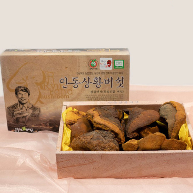 류충현 상황버섯 최상품 목질진흙 국산 버섯선물 300g 341,200원
