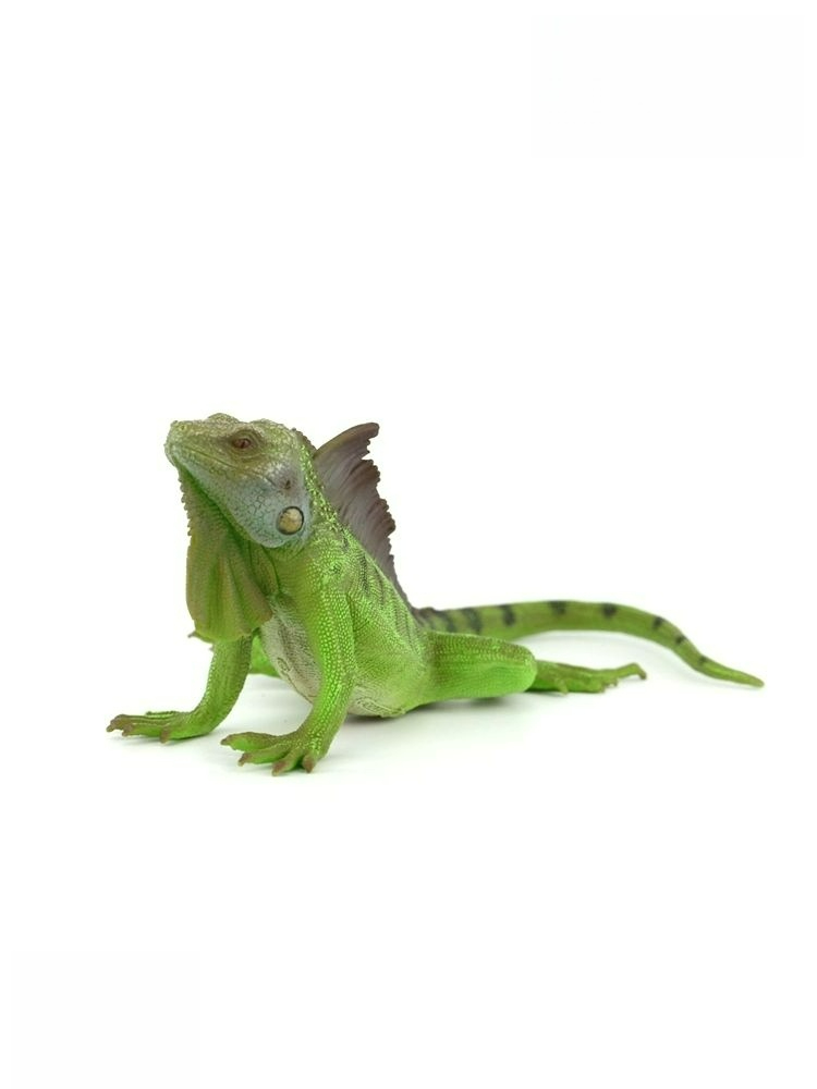 SHservice 도마뱀인형 바디필로우 인형 귀여운 파충류 35,700원