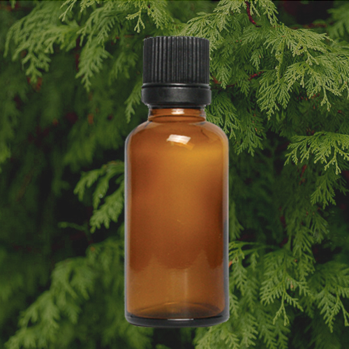 피톤치드(편백) Phytoncide E.O /에센셜오일, [ 500ml ] 420,000원