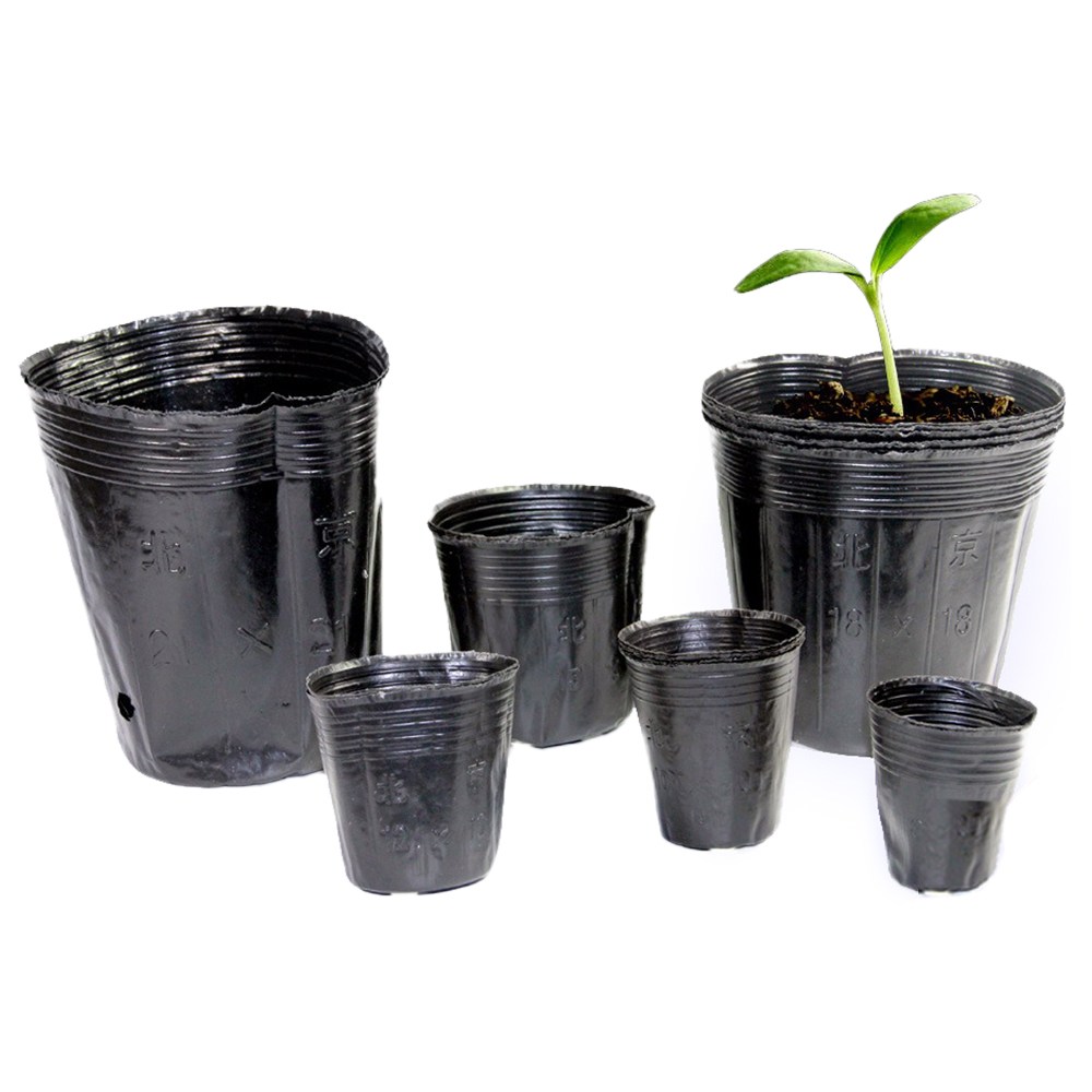 비닐컵포트 모종 식물재배용화분, 200개, 블랙 12,290원