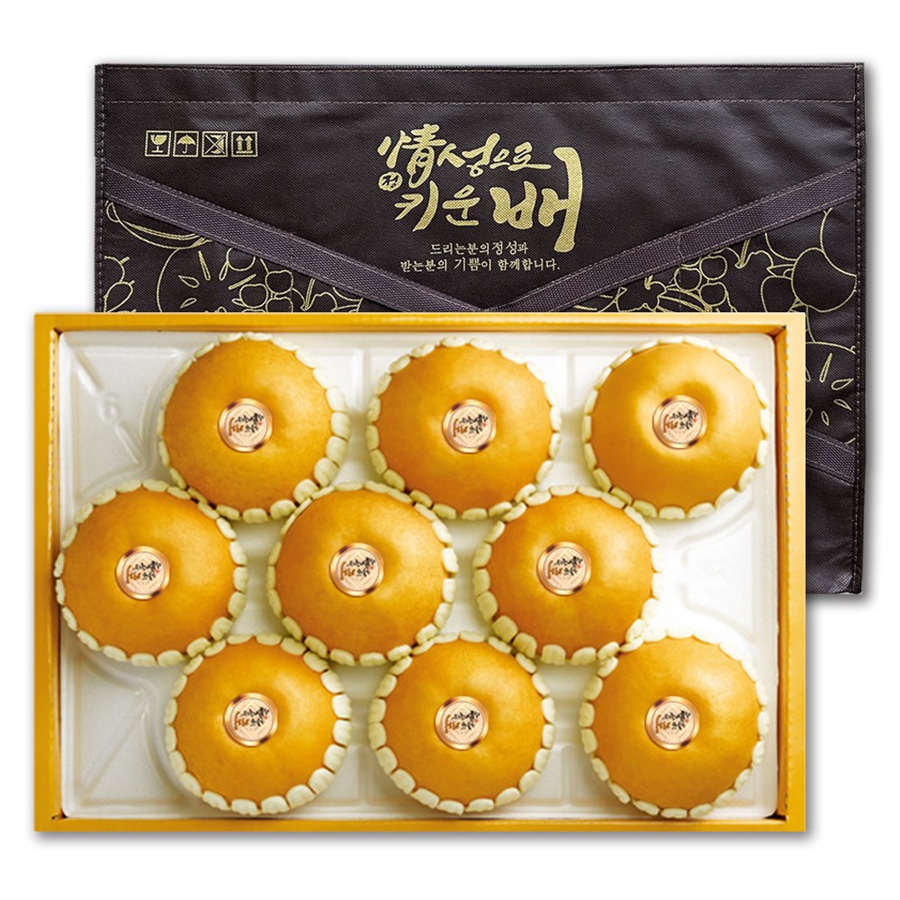 [ GAP인증 ] 산지직송 명품 나주배 선물세트 가정용 선물용 햇배 설 추석 명절 배 과일 한박스 대 특대 5kg 7.5kg 15kg 49,900원