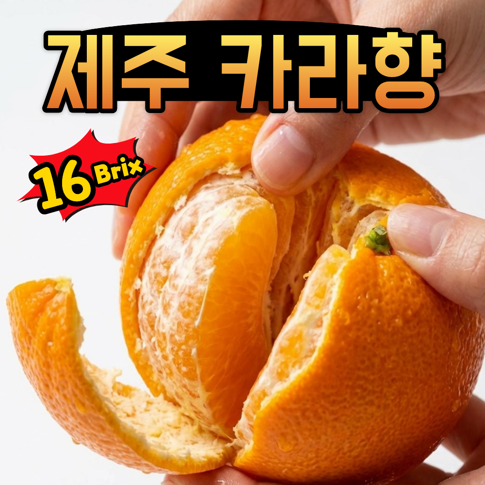 오늘수확 행사제품 제주 카라향 프리미엄 고당도 감귤, 1박스, 2kg 17,000원