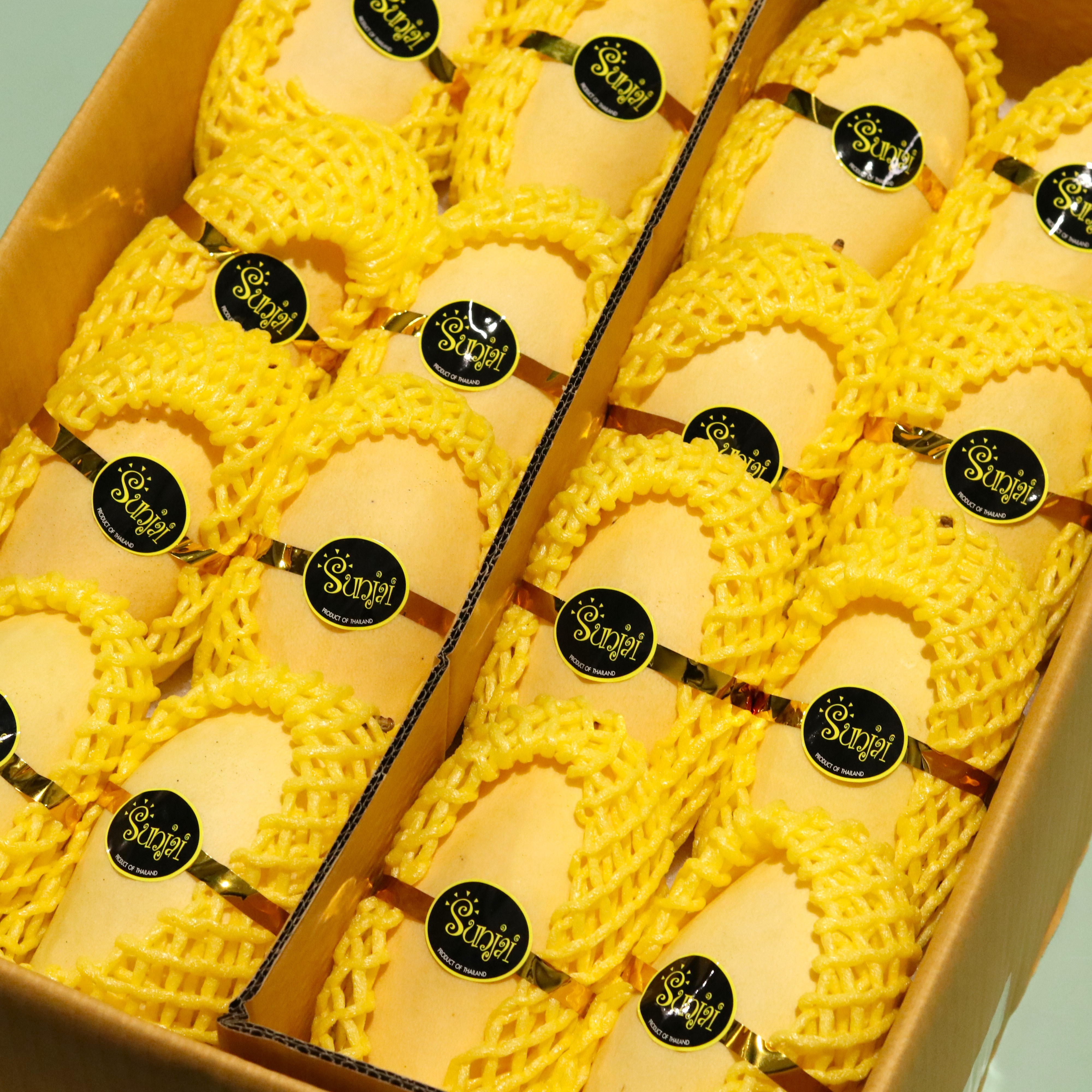 프리미엄 태국 망고 골드망고 선물세트 항공수입, 1박스, 태국망고 2.5k 특대(5-8과) 26,900원