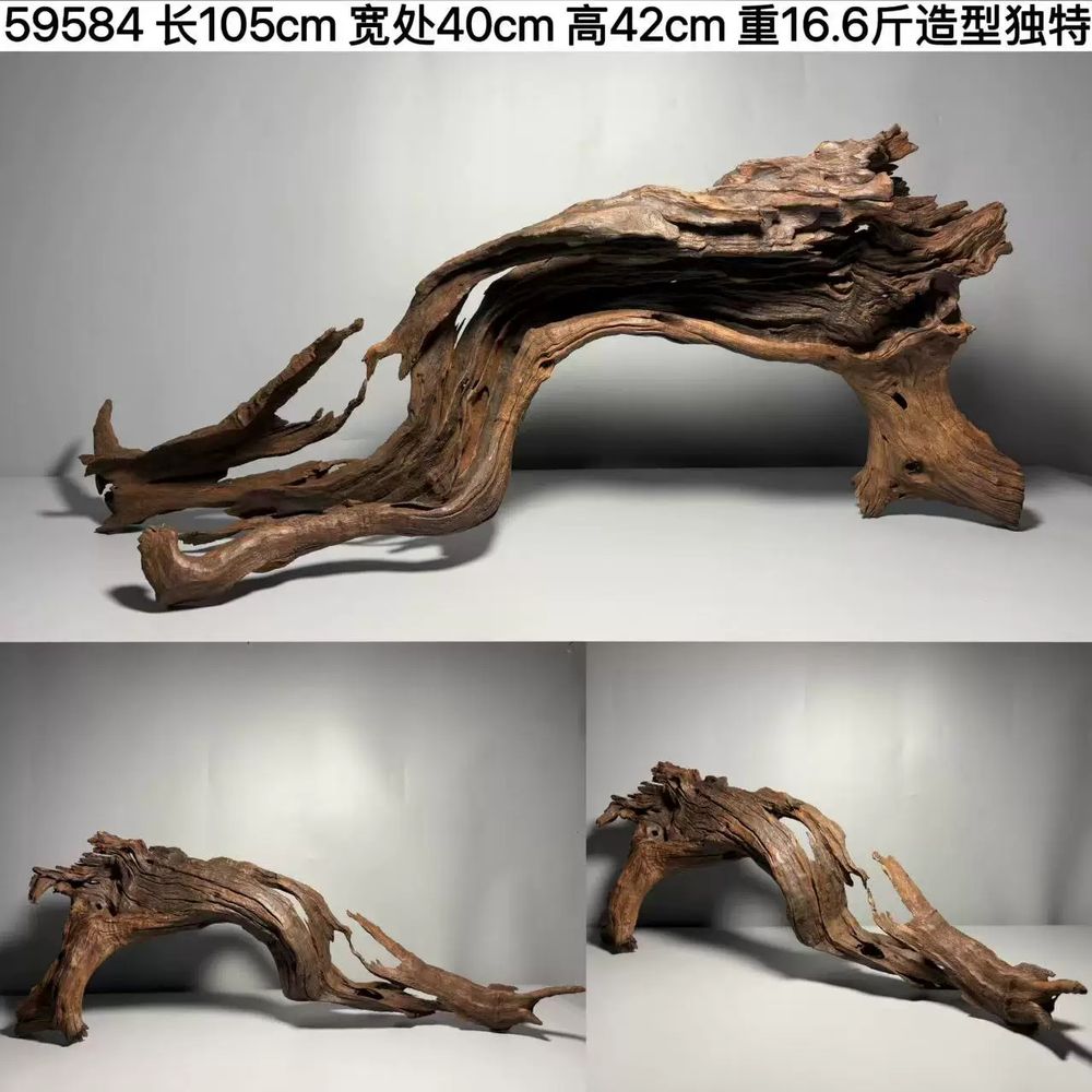 대형 유목 수족관 조경 수초 비바리움 소나무 성형유목 분재 324,700원