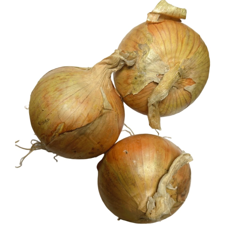 국내산 잘말려 단단한 무안 첫수확 26년 조생 햇양파 2kg/ 3kg/ 5Kg / 10Kg 중대혼합, 1개, 3kg 중대 조생햇양파 10,900원