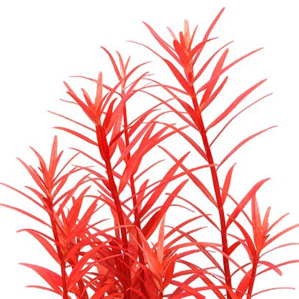 [수초대장] 로탈라 블러드 레드 (15촉) 중후경수초 12,400원