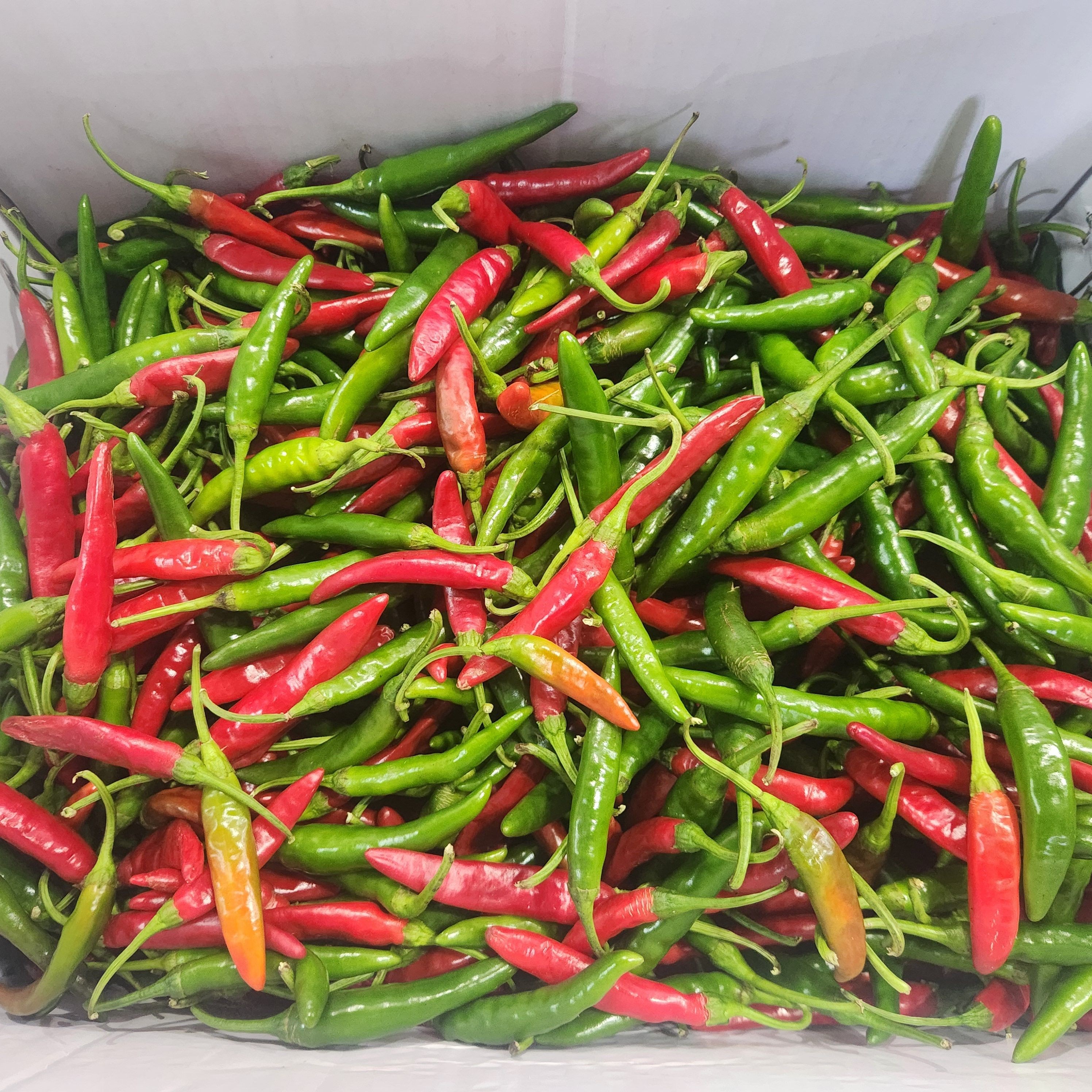 국내산100% 매운고추 혼합고추 청양고추 반홍, 1개, 3kg 30,700원