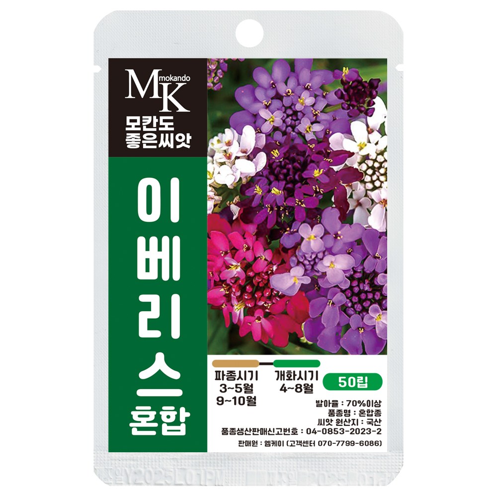 모칸도 좋은씨앗 이베리스 씨앗 50립 혼합 꽃씨 꽃씨앗, 1개 4,900원