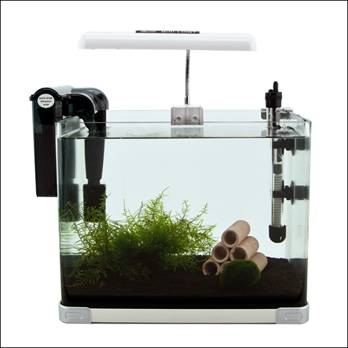 피알피쉬 체리새우 세트 어항 125,000원