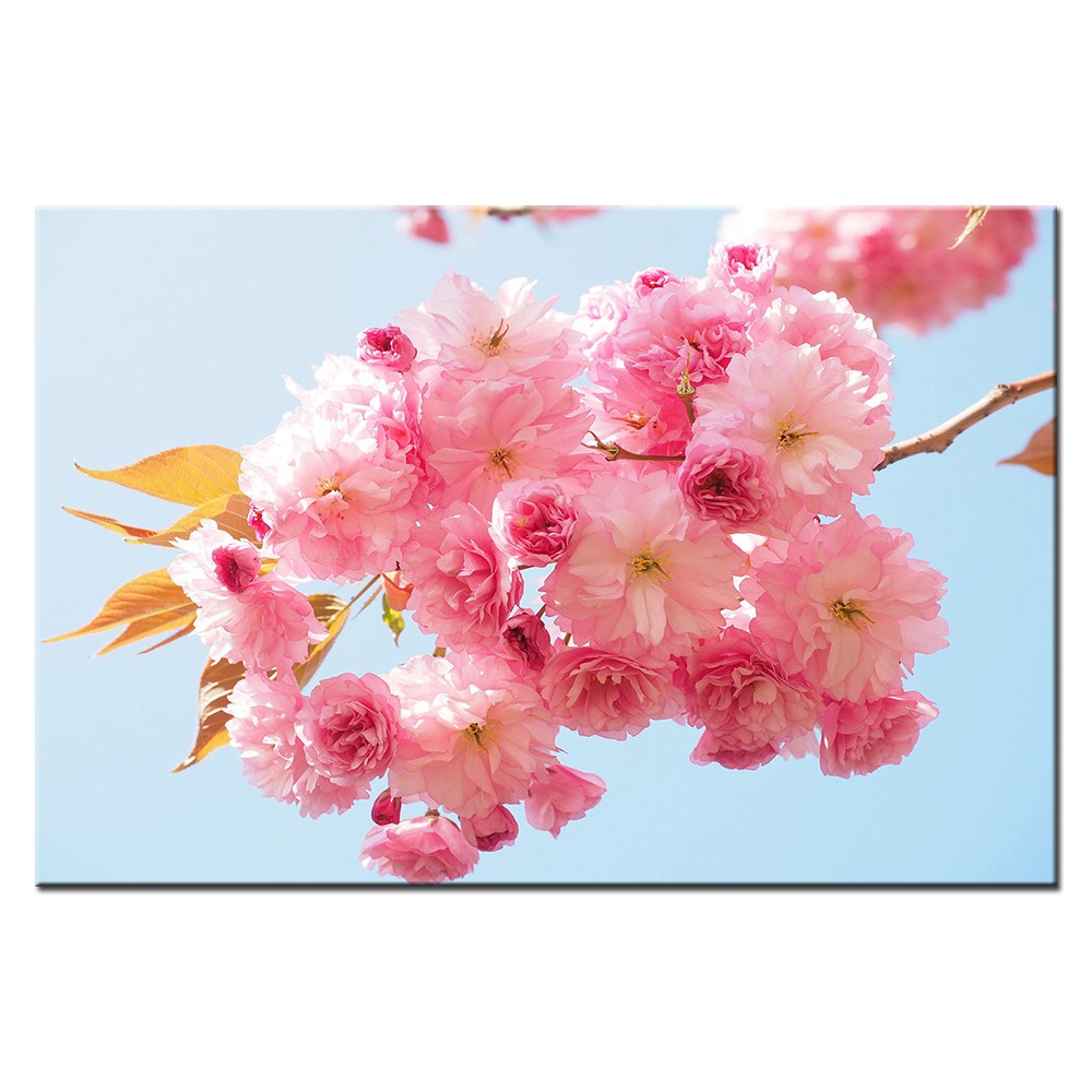 생기 그림 예쁜 꽃 봄 감성 힐링 캔버스 액자 카페 인테리어 거실 벽꾸미기, 03 하늘위의 만개한 꽃 51,500원