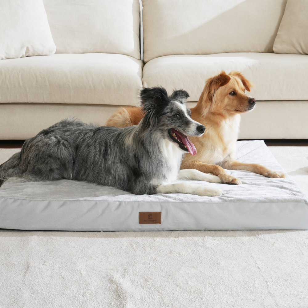 홀릭하임 대형견 슬개골 보호 에그폼 커버분리형 사각 방석 01 L ~ 2XL, 그레이, 1개 23,000원