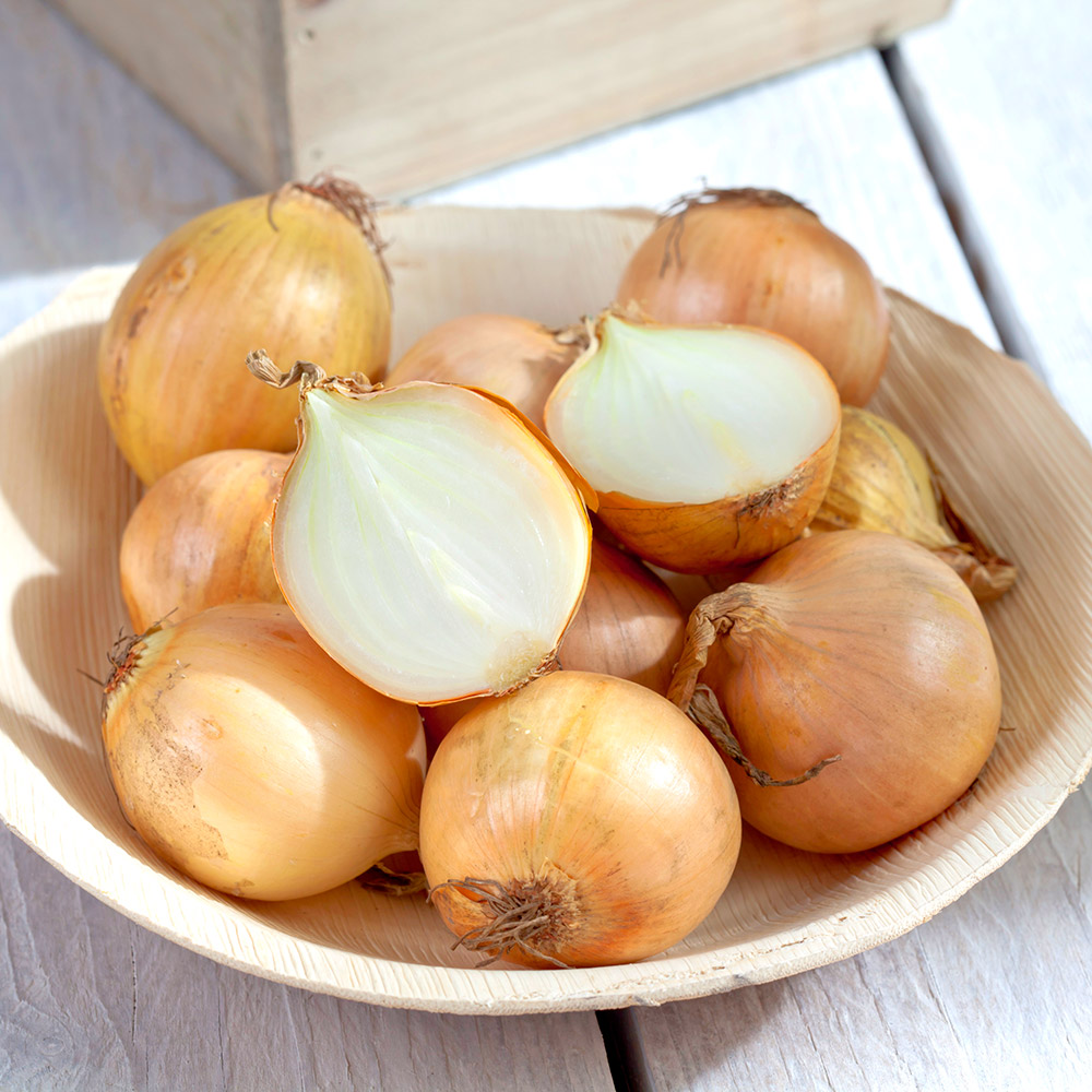 [더조은푸드] 속이꽉찬 저장용 단단한 햇양파 (중소혼합) 24,850원