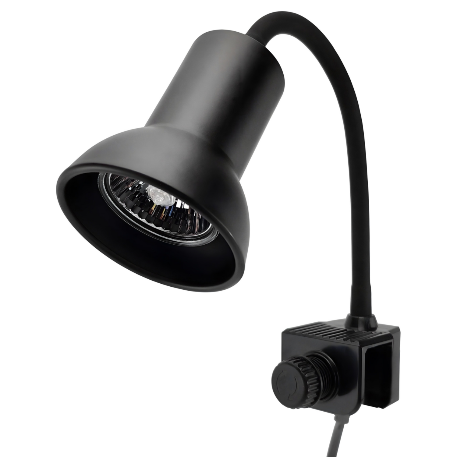 모비딕 안핑크 파충류 조명 S 15,300원