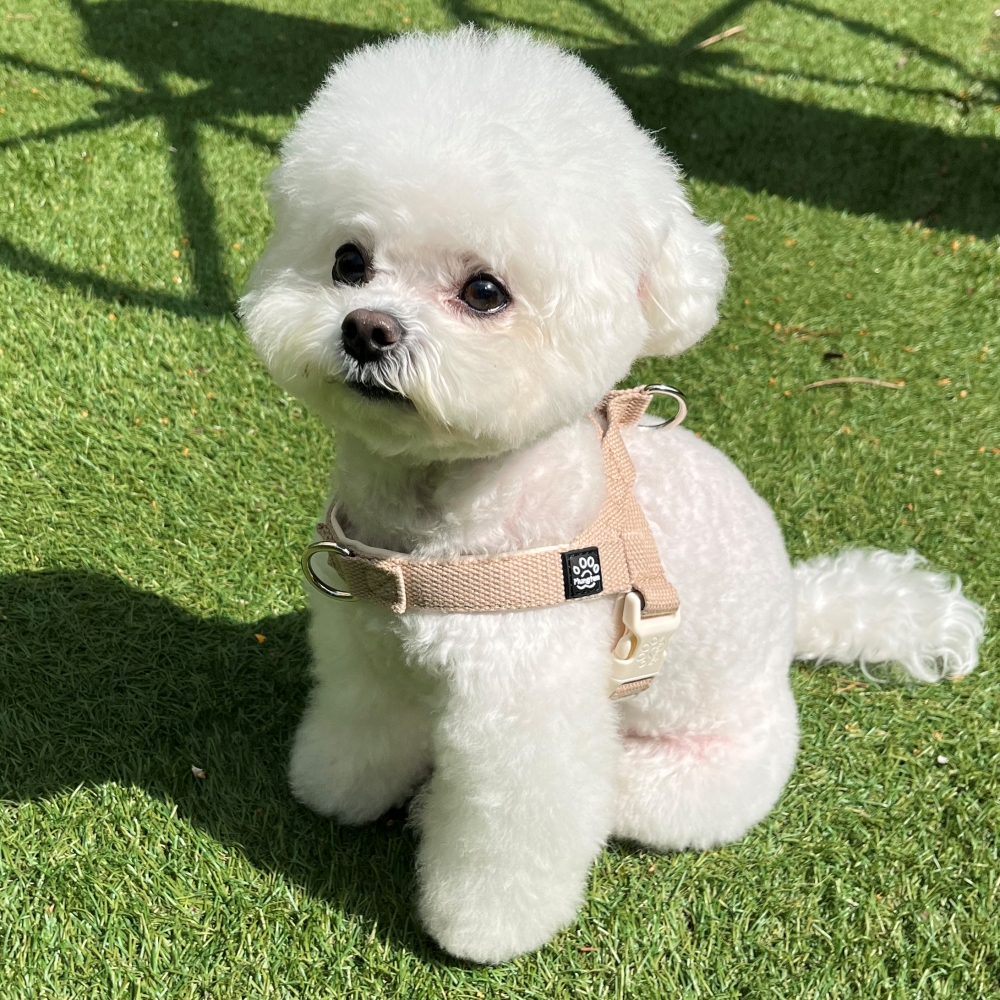 멍템 강아지 앞섬방지 팔레트 하네스 17,600원