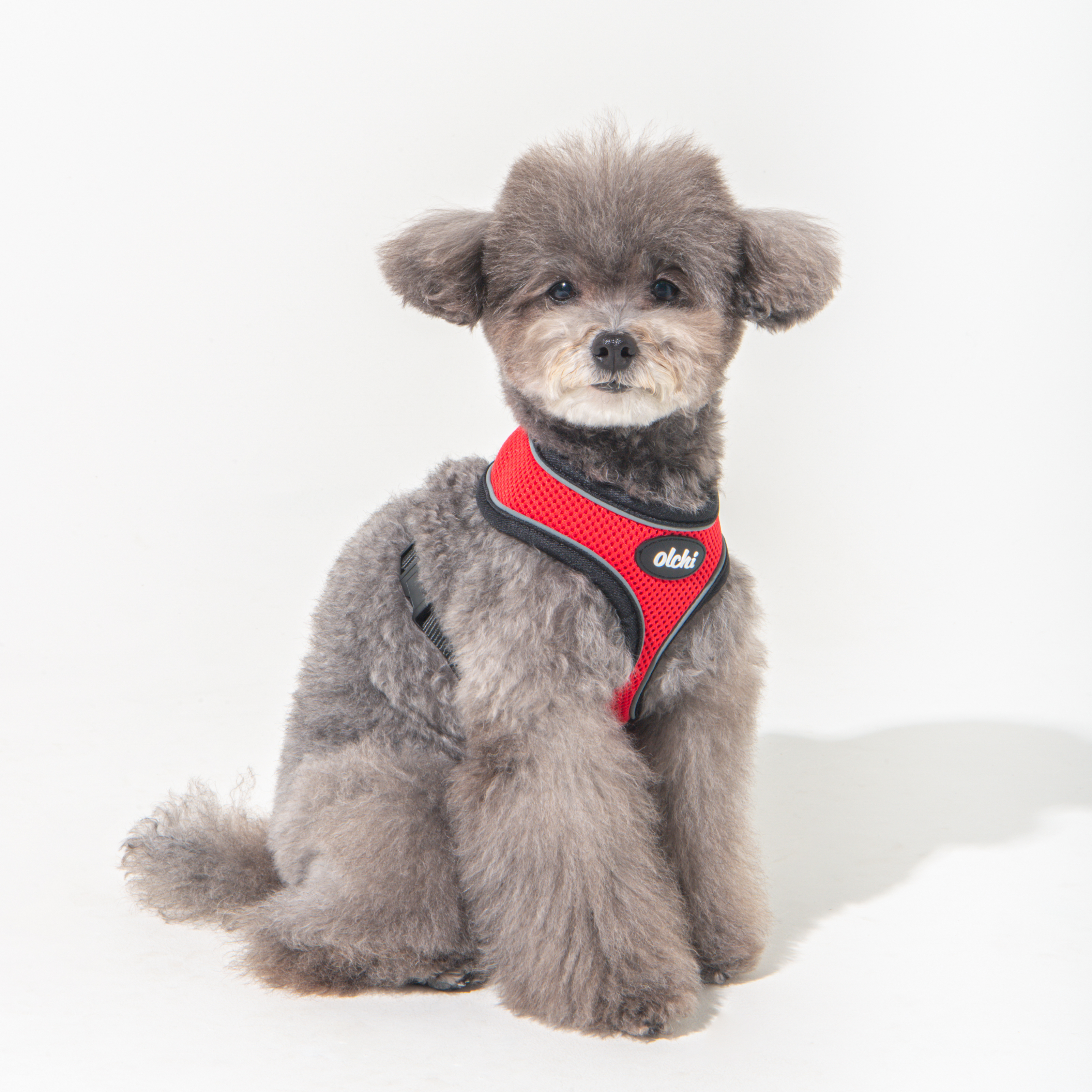 올치 야간 빛 반사 콤비 하네스 A 강아지 산책 목줄, 레드, 1개 7,990원