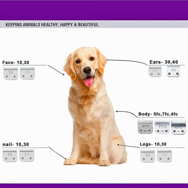 애완견 손질 클리퍼 블레이드 3F 13mm A5 용 고품질 탄소강으로 제작 대부분의 Andis Oster 적합 32,400원