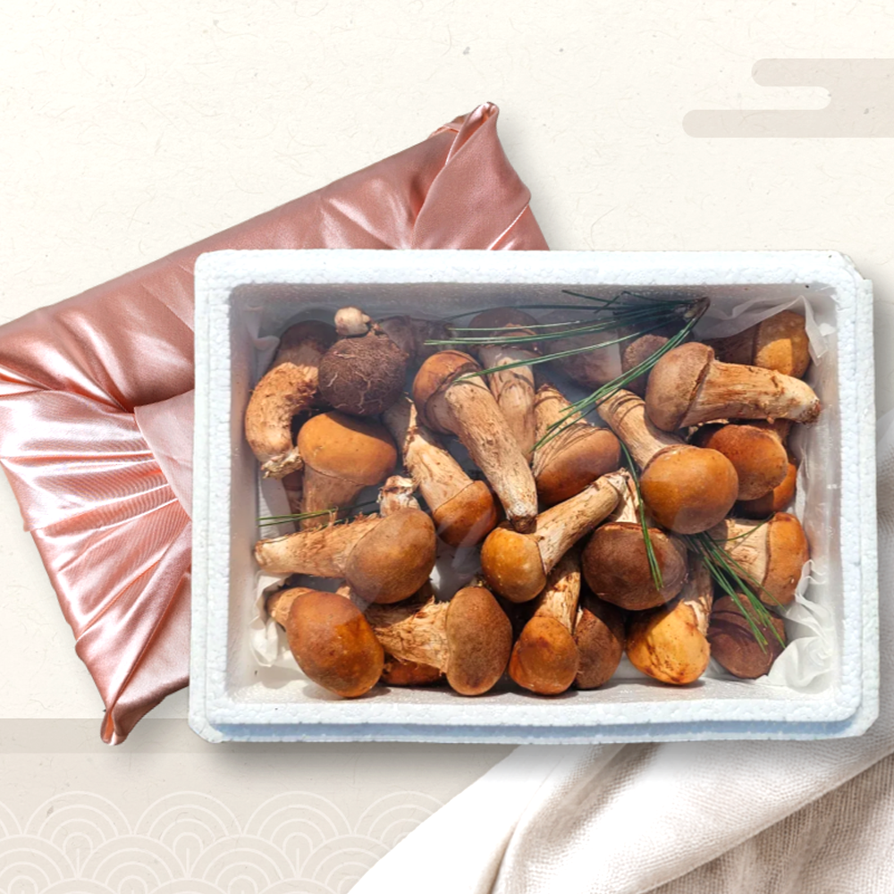 하진이네 버섯뜰에 참송이버섯 선물세트 명절선물 중품 상품 가정용 1kg, 1개 38,000원