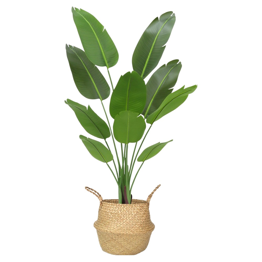 아르띠콜로 플랜테리어 극락 조화 나무 160cm, 해초 바구니 69,800원