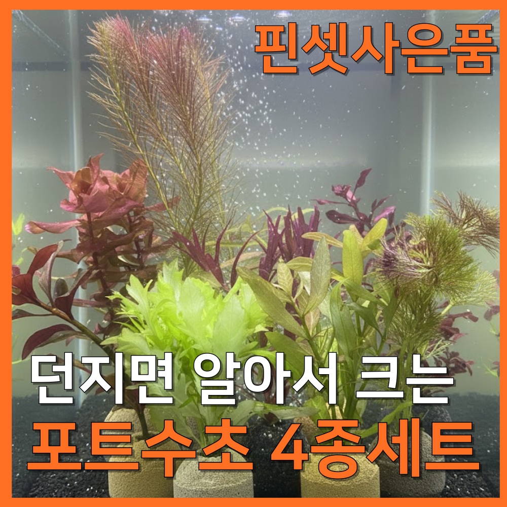 [수초농부] 달팽이 없는 포트수초 랜덤 4종 키우기 쉬운 초보 9,200원